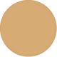 2W1 Dawn Double Wear Stay-in-Place Foundation 