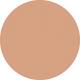 Light Beige Vanish Seamless Finish Foundation Stick 
