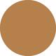 Honey Vanish Seamless Finish Foundation Stick 