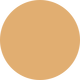 Golden Natural Skin Foundation Stick 